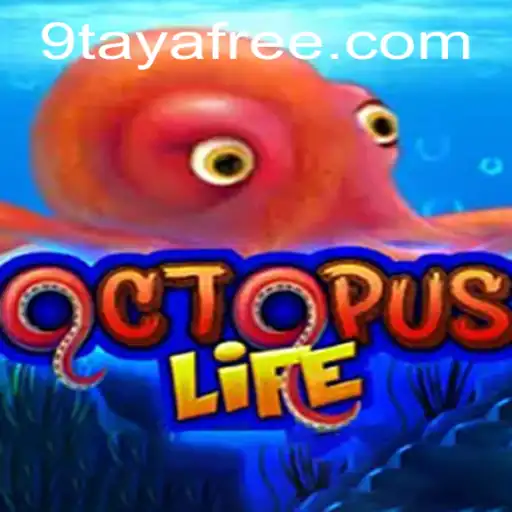 Exploring OctopusLife and the 9taya Phenomenon